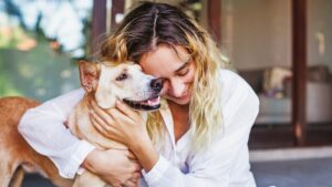 Abogado custodia compartida mascotas